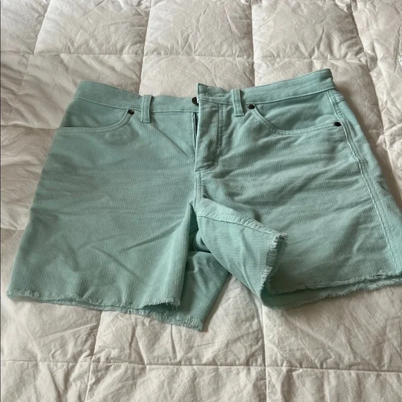 Carve Designs turquoise green/blue Jean Shorts - Picture 2 of 5